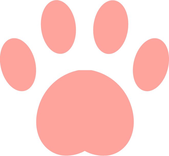 保定市止舫头小学女足斩获2026河北省小学生校园足球锦标赛冠军