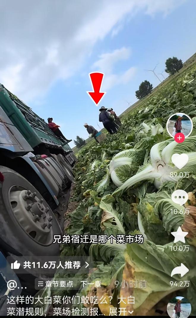尼克斯统治力:豪取季后赛12连胜创纪录 布伦森30分末节导大逆转